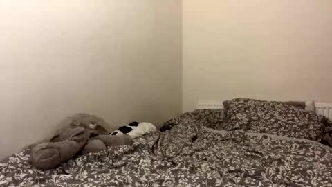 Snapshot of ghostpetal chatting on 10/12/25, 01:37 ghostpetal online show from 10/12/25, 01:37