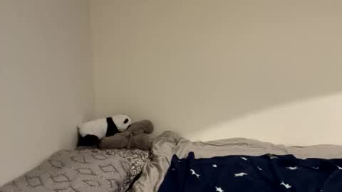 Snapshot of ghostpetal chatting on 12/18/25, 12:17 ghostpetal online show from 12/18/25, 12:17