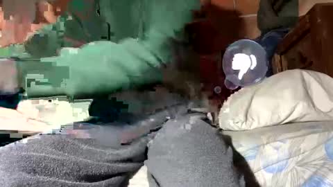 Snapshot of gicobest chatting on 01/12/25, 02:30 Corrado online show from 01/12/25, 02:30