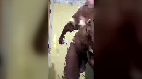 Snapshot of giftedbr chatting on 04/06/26, 07:31 gifted online show from 04/06/26, 07:31