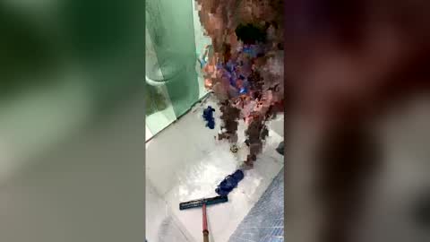 Snapshot of giftedbr chatting on 04/20/26, 07:00 gifted online show from 04/20/26, 07:00