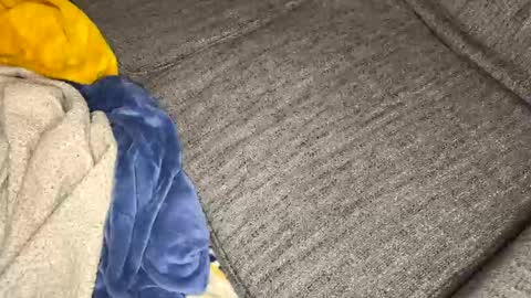 gingerrslut online show from 03/13/26, 08:54