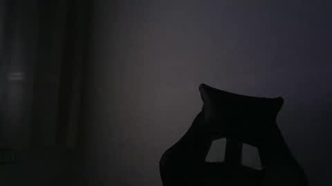 Snapshot of gioshadow chatting on 09/29/25, 11:48 gioshadow online show from 09/29/25, 11:48