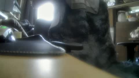 giovanne1 online show from 12/05/24, 12:11