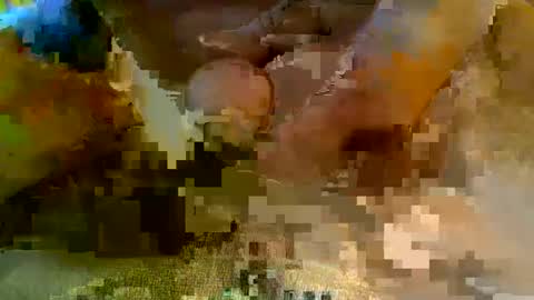 Snapshot of girafsnoop chatting on 01/05/25, 09:15 girafsnoop online show from 01/05/25, 09:15