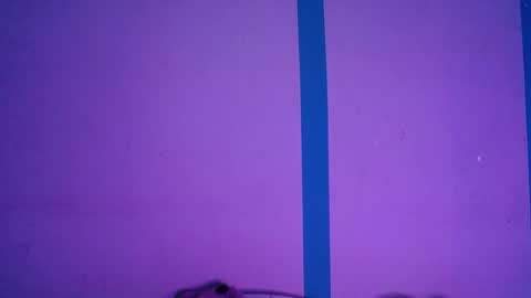 Alejandra online show from 04/03/26, 06:44