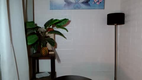 Snapshot of girlwhobelieveinmagic chatting on 01/28/25, 04:18 Callmenor online show from 01/28/25, 04:18