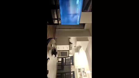 Snapshot of girthylax51 chatting on 11/09/25, 03:49 BIG K online show from 11/09/25, 03:49