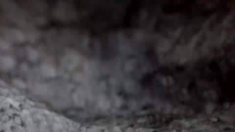 e-Bizl online show from 12/07/24, 11:51