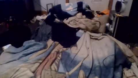 e-Bizl online show from 12/16/24, 04:55