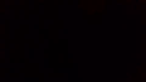 e-Bizl online show from 02/11/25, 08:05