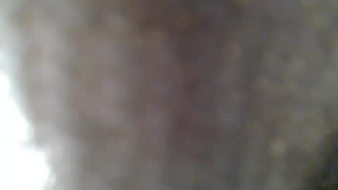 e-Bizl online show from 02/25/25, 07:31