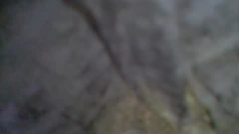 e-Bizl online show from 09/11/25, 09:04