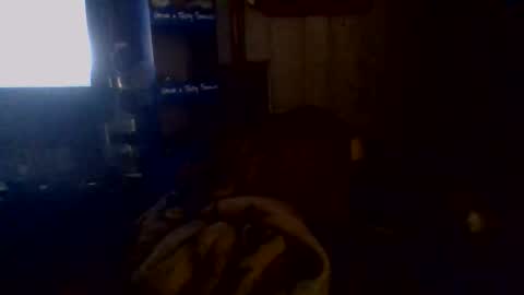 e-Bizl online show from 11/02/25, 05:10