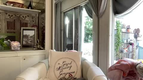 Snapshot of gl1tter_barbie chatting on 04/20/26, 11:57 Gl1tter Barbie online show from 04/20/26, 11:57