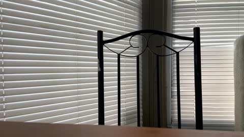 Snapshot of glazehoney chatting on 01/10/25, 05:02 glazehoney online show from 01/10/25, 05:02