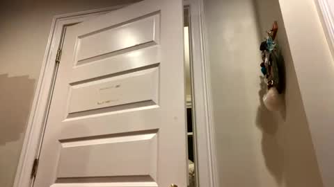 Lets get wierd online show from 10/24/25, 03:14