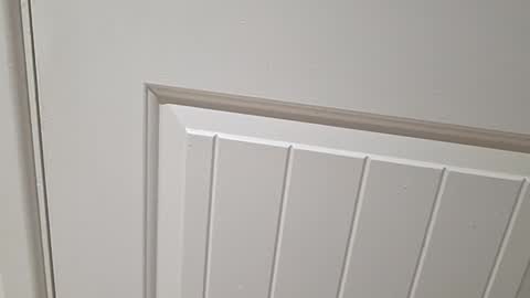 Snapshot of gloscam chatting on 11/23/25, 11:15 Gloscam online show from 11/23/25, 11:15