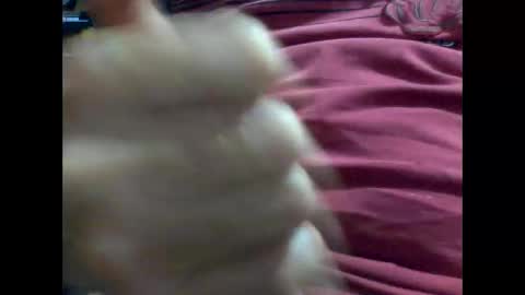 PencilDick online show from 02/09/25, 08:54