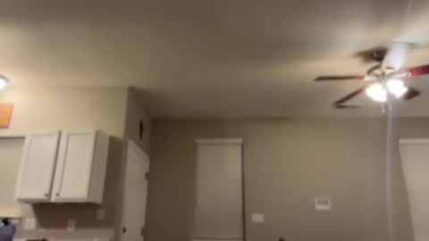 Princess Miila  BBC Daddy online show from 01/06/25, 10:24