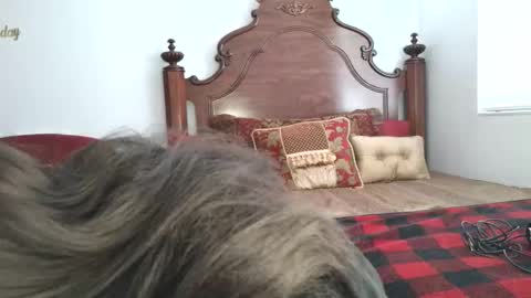 Snapshot of goddess_xandra_xquisite chatting on 03/19/26, 01:26 Xandra The Goddess online show from 03/19/26, 01:26