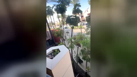 Snapshot of goddesselxo chatting on 04/20/26, 09:01 Goddess L online show from 04/20/26, 09:01