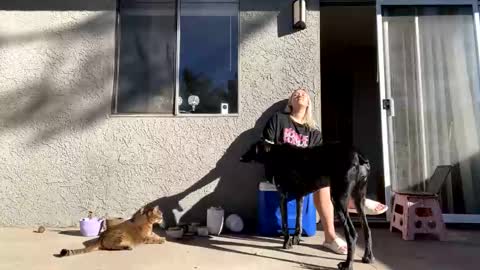 GoddessMayvn online show from 12/10/24, 09:33