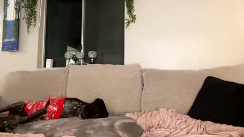 GoddessMayvn online show from 12/26/24, 10:16