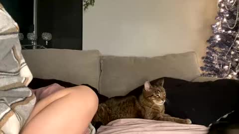 GoddessMayvn online show from 12/29/24, 12:55