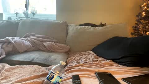 GoddessMayvn online show from 12/29/24, 04:40