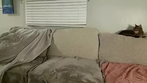 GoddessMayvn online show from 01/30/25, 10:08