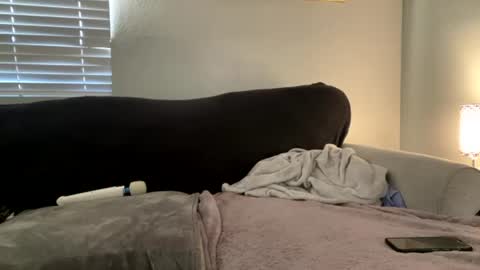 Snapshot of goddessmayvn chatting on 07/02/26, 02:33 GoddessMayvn online show from 07/02/26, 02:33