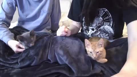 Snapshot of goddessshadowraven chatting on 12/06/24, 11:47 Goddess Raven online show from 12/06/24, 11:47