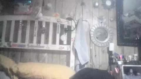 Celeste online show from 01/17/26, 08:41