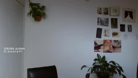 Alaska online show from 11/09/25, 08:07