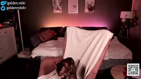 Snapshot of golden_miki chatting on 02/02/25, 06:15 Shy in the streets but a freak in the sheets online show from 02/02/25, 06:15