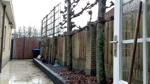 Snapshot of goldenelixxxir chatting on 12/23/24, 12:41   online show from 12/23/24, 12:41