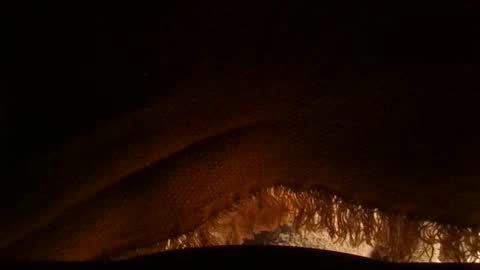 Snapshot of goldserg777 chatting on 04/03/26, 10:13 Serg online show from 04/03/26, 10:13