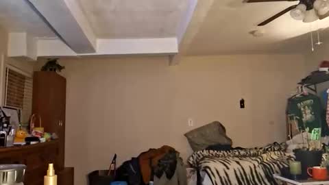 gonr369 online show from 02/17/26, 12:18