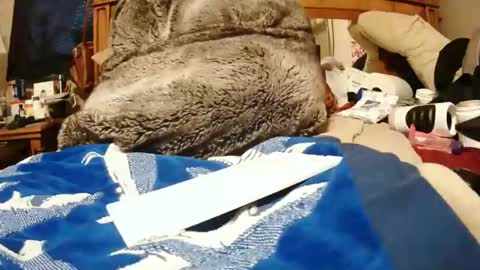 Juicy Booty online show from 12/27/24, 06:10