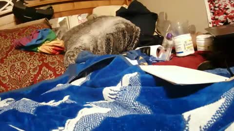 Juicy Booty online show from 12/28/24, 03:59