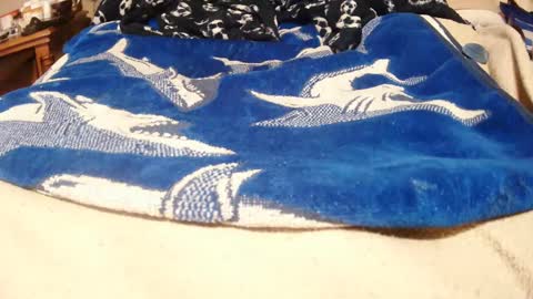 Juicy Booty online show from 01/10/25, 03:37