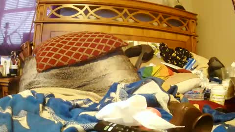 Juicy Booty online show from 01/18/25, 06:53