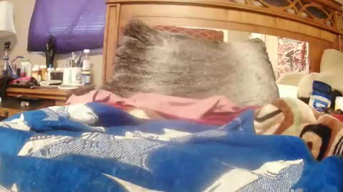 Juicy Booty online show from 02/23/25, 02:46