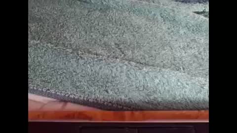 Snapshot of goodboyzon chatting on 12/08/24, 03:45 goodboy online show from 12/08/24, 03:45