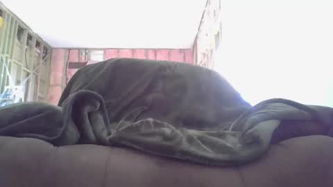 goodcock12345 online show from 12/03/24, 08:28