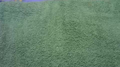 goodfishing online show from 11/01/25, 12:01