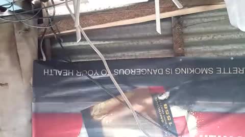 Snapshot of gorgeouspinay_babe chatting on 11/22/25, 11:37 GorgeousPinay babe online show from 11/22/25, 11:37