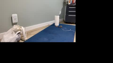 Snapshot of goshlover chatting on 11/04/25, 05:01 GoshLover online show from 11/04/25, 05:01