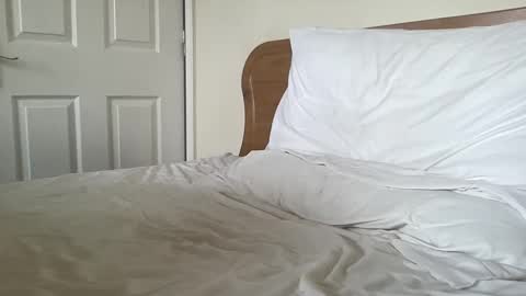 Dillan Diamonds online show from 03/04/25, 08:35